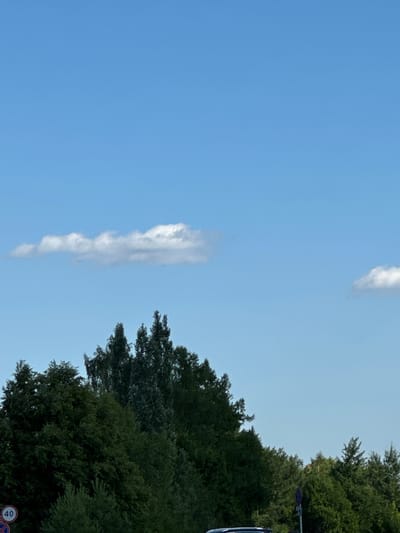 The image shows a bright blue sky with a few scattered white clouds. Below the sky is a dense line of dark green trees. In the lower left corner of the image, a circular traffic sign with the number "40" in white against a red background is visible, indicating a speed limit. The scene appears to be an outdoor environment, possibly a park or roadside, in Dubrovitsy, Russia.