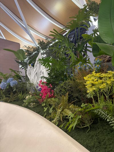 This is a wide, eye-level, indoor shot of a lush plant installation in Pudong, China. The installation is made up of a variety of green plants, including ferns and large-leafed tropical plants. There are also several clusters of brightly colored flowers, including pink, blue, and yellow. In the center of the installation, there is a white, sculptural element that resembles abstract, flowing waves or flames. The installation is situated along a curved, cream-colored ledge, which takes up the foreground of the image. In the background, the interior of a building is visible, featuring a wooden ceiling with white structural beams and a glimpse of a glass facade. There are no people visible in the image.