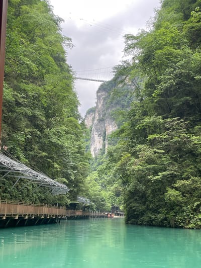The image shows a scenic view in Zhangjiajie, China, featuring a turquoise river bordered by lush green vegetation. A wooden walkway extends along the water's edge, with metal structures supporting a higher path or cable system. In the background, a suspension bridge stretches across a valley, connecting to a rocky cliff face partially obscured by clouds. The environment suggests a mountainous and forested area. There are no visible people in the immediate scene.