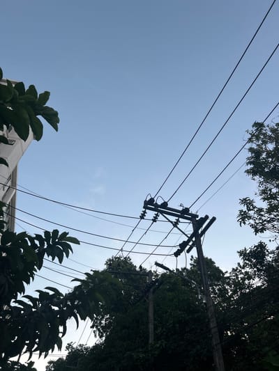 This image shows a clear blue sky with some power lines and lush green trees. The perspective is looking upwards, capturing the tops of the trees and the sky. There are several utility poles with wires crisscrossing, typical of an urban or suburban setting in Thailand. The leaves of the trees are dense and vibrantly green, suggesting it is a warm climate. The lighting indicates it's daytime, possibly late morning or afternoon, as the sky is bright and clear. No people are visible in the frame. The scene is serene and natural, with the man-made power lines integrated into the environment. The setting appears to be outdoors, in a location where electricity infrastructure is overhead and vegetation is abundant. The overall impression is one of a tropical or subtropical landscape.