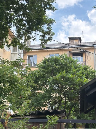 This is a low-angle, vertical photograph of a courtyard scene in Stryi, Ukraine, likely taken during the daytime given the bright sky. The weather appears to be partly cloudy with a blue sky visible through the foliage.
The primary subjects are a building and lush green trees. The building is a multi-story structure with a light yellow facade and a dark, sloped roof. Several windows are visible on its side, some appearing to be modern with white frames, and others older, possibly with wooden frames. There's an architectural detail on the roofline, a small, protruding section with a corrugated surface and wooden paneling. Telephone or electrical wires are strung across the scene.
The trees in the foreground and middle ground are densely packed with bright green leaves, obscuring parts of the building and creating a sense of enclosure. The foliage is detailed, showing individual leaves and branches. To the right, part of a dark metal structure, possibly a fence or part of another building, is visible. Below the trees, there are hints of other structures, including what appear to be satellite dishes and some covered outdoor spaces with transparent roofing.
The overall impression is one of a residential courtyard, possibly in an older part of town. The image doesn't depict any people or specific activities, focusing instead on the architecture and the natural elements within this urban setting. The composition, with the trees framing the view of the building, suggests a hidden or intimate space. There is no visible text in the image.