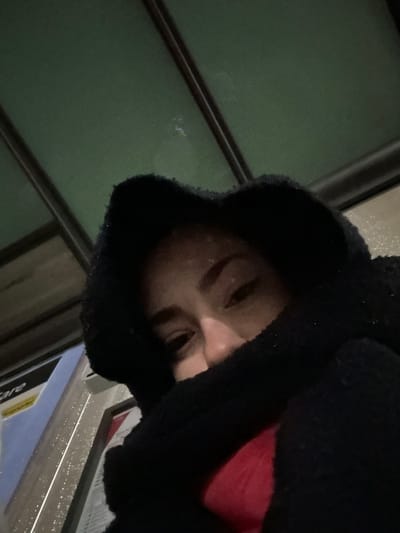 An individual is depicted in a low-angle, close-up photograph, presumed to be a selfie, taken at a public transport stop in Hœnheim, France. The subject, with medium-dark skin tone, presents their upper face, including eyes, nose bridge, and forehead. The lower portion of the face is obscured by a black, fluffy garment, which appears to be a hood with ear-like protrusions. A segment of red clothing is visible beneath the black outerwear. The background features the underside of a green public transport shelter roof with dark horizontal structural beams. To the left, a white and yellow panel of a public transport ticket machine or validator is partially visible, displaying the text "are," likely part of "Fare" or "Tarif." The ambient light indicates a low-light environment, possibly nighttime, with speckles of light on background surfaces suggesting reflections or moisture. The individual's eyes are directed towards the camera.
