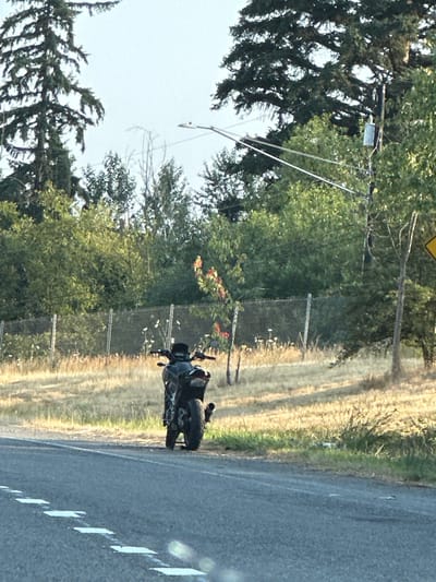 An unattended black motorcycle is parked on the shoulder of a road in Alderwood Manor, United States of America. The motorcycle is dark in color and positioned facing away from the viewer. It is situated on a dry, grassy area next to a paved road with white lane markings. Behind the motorcycle, a chain-link fence runs horizontally across the frame, separating the road from a wooded area with a variety of trees and foliage. The sky is overcast, suggesting a hazy or cloudy day. A streetlight is visible in the upper portion of the image, as is a portion of a yellow warning sign on the right side. No people are present in the image, and no actions or interactions are depicted.