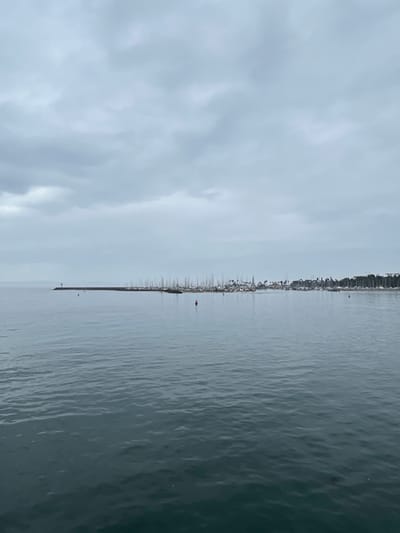 The image displays a wide view of Santa Barbara Harbor in Santa Barbara, United States, under an overcast, uniform light gray sky. The lower two-thirds of the frame are occupied by calm, dark blue-gray ocean water with slight surface ripples. A long, dark breakwater extends horizontally across the midground, originating from the left and curving slightly eastward. A small, light-colored beacon or lighthouse structure is positioned at the far western end of the breakwater. Behind the breakwater, the Santa Barbara Marina is visible, densely populated with numerous sailboats identifiable by their tall, slender masts. Further to the right, a treeline, primarily palm trees, and indistinct buildings are discernible along the distant shoreline. Two red conical buoys float in the foreground water; one is centrally located to the left, and another, smaller one, is positioned further to the right. No individuals or specific actions are apparent in the scene.
