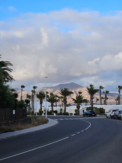 The image depicts a curved asphalt road in Yaiza, Spain, with a white dashed line marking the lane. To the right of the road, several cars are parked, including a white SUV and a dark sedan. Further back, a row of white buildings is visible, interspersed with numerous palm trees and some cacti. The background features a range of arid, mountainous terrain under a partially cloudy sky. The road curves to the left, leading into the scene.