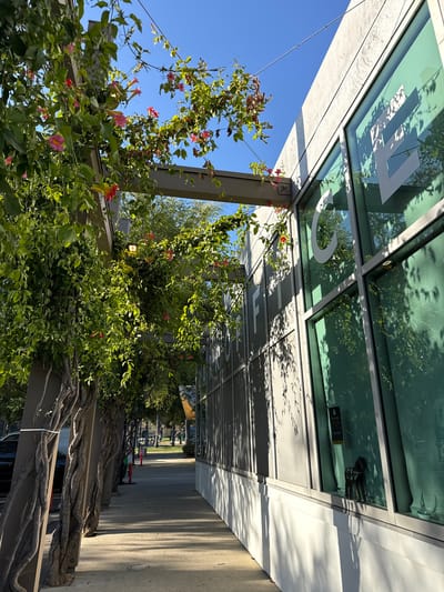 An exterior shot captures a modern building with large, green-tinted windows and white text, possibly advertising or a logo, against a concrete facade. A trellis covered in lush green vines with pink and yellow flowers extends along the left side of the building, casting dappled shadows on the sidewalk. The sidewalk itself is paved with concrete, and a street with trees and a few parked cars is visible in the background. The sky is a clear, bright blue. The building appears to be located in West Hollywood, California, USA, with its contemporary architecture and landscaping suggesting a commercial or public space within the city.