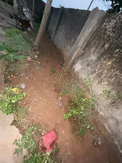An outdoor space shows a weathered cement wall and a ground area covered with dirt, interspersed with green plants and scattered debris. A red plastic container sits on the ground. Discarded wrappers and a small blue bottle add to the scene's unkempt nature. The lighting suggests either early morning or late evening. A partial view of some outdoor furniture is visible at the lower-left corner of the image.