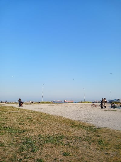 The image shows a wide-angle view of a sandy beach in İstanbul, Türkiye, taken from the shore, facing the sea. The location is near Florya Beach (40.957, 28.827). The image depicts a scene of scattered people walking on the beach and some people sitting on the sand. The sky is a clear blue with no clouds. The sand is a light beige color and sparsely covered with light green grass. In the distance, a few ships can be seen. Two vertical streetlights are in the distance. A few small birds are flying in the sky.