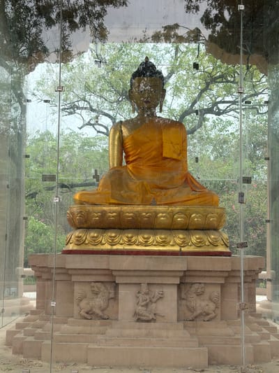 A golden Buddha statue sits on a tiered base within a glass enclosure in New Delhi, India. The statue is seated in a meditative pose, with its right hand resting on its lap and its left hand in its lap. The statue is adorned with a saffron robe. The base of the statue is decorated with intricate carvings of lions and other mythical creatures. The glass enclosure is surrounded by trees and foliage, suggesting an outdoor setting. The overall scene conveys a sense of peace and tranquility.