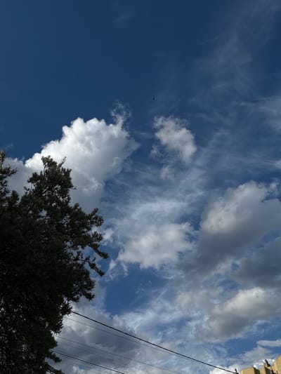 The image captures a bright, partly cloudy sky with a large, dark tree silhouette on the left. Wispy cirrus clouds are spread across the deep blue sky, interspersed with larger, white cumulus clouds. A small bird is visible in flight high in the sky. Power lines are stretched across the lower portion of the frame, with a hint of brick buildings at the bottom right. The scene appears to be outdoors, likely in a residential or suburban area, and given the detail of the image, it's not possible to determine the exact location within the city of Lipetsk, Russia.