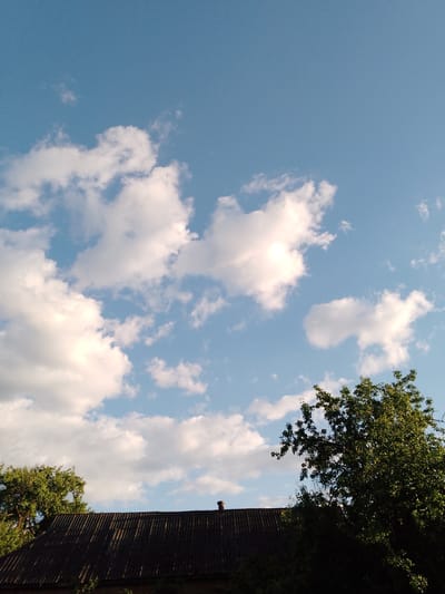 The image presents an outdoor scene dominated by a vast blue sky dotted with numerous white, fluffy cumulus clouds. The sunlight illuminates the clouds from the side, suggesting it is late afternoon or early evening. In the lower portion of the frame, the dark, corrugated roof of a building, likely a house or a barn, stretches across the bottom. A small, dark chimney is visible on the roof towards the center. Lush green foliage from several trees is prominent at the bottom and sides of the image, with some branches extending upwards into the sky, particularly on the right. Parts of the trees are brightly lit by the sun, while others remain in shadow. There is no visible activity, people, or discernible text. The setting evokes a peaceful, natural environment, consistent with the provided context of San Martín de Porres, Peru.
