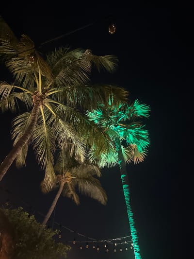 This is a low-angle, night-time, outdoor photograph taken in Arugam Bay, Sri Lanka, featuring palm trees illuminated by artificial lights. Two prominent palm trees are visible. The palm tree on the right is brightly lit with green light, highlighting its trunk and fronds. The palm tree on the left is lit with a warm yellow light, also illuminating its trunk and fronds. In the upper portion of the image, a light fixture resembling a hanging lantern with multiple bulbs is visible, possibly casting a warm glow on the fronds of the left palm tree. Below the palm trees, string lights with Edison-style bulbs are suspended, contributing to the ambiance of the scene. The background is a dark, clear night sky. There are no people or animals visible in the frame. The environment suggests a tropical setting, likely a resort or a beachfront area, given the presence of palm trees and decorative lighting. The image captures a festive or relaxing atmosphere.