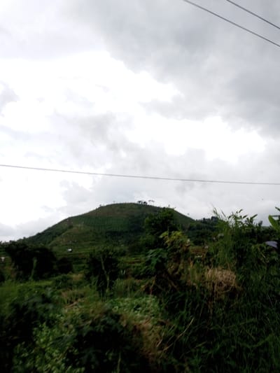 The image captures a rural, mountainous landscape in Melakudikadu, India, under an overcast sky predominantly filled with grey and white clouds. A large, verdant hill dominates the background, exhibiting clear terraced cultivation patterns on its slopes and scattered trees near its summit. A small, white structure is visible on the lower-left slope of the hill. The foreground and midground consist of dense, wild green vegetation, including tall grasses and various shrubs. Two thin, dark horizontal lines, consistent with power lines, traverse the upper-middle portion of the sky. No people, animals, or specific actions are depicted.