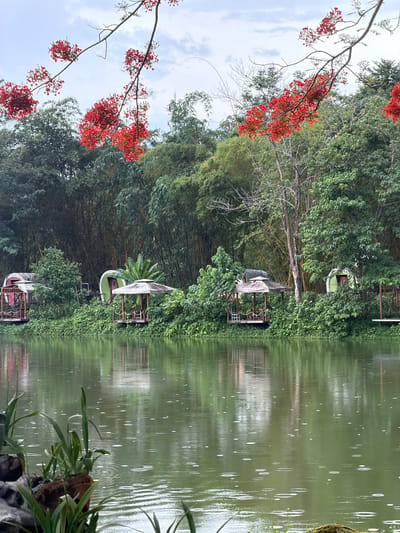 This image depicts a tranquil waterside scene, likely in the city of Khánh Vĩnh, Vietnam. The foreground is dominated by a calm, greenish body of water, reflecting the lush vegetation and overcast sky. Small ripples suggest light rain or a gentle breeze. In the midground, a verdant shoreline is adorned with dense green bushes and trees, with bamboo plants forming a prominent backdrop. Scattered along the shore are several small, open-air structures, resembling gazebos or pavilions, offering sheltered seating areas. Some of these structures have thatched roofs and are supported by wooden posts. Adjacent to these, and partially obscured by foliage, are uniquely shaped, pod-like buildings, possibly guest accommodations. The top of the image features branches of a tree bearing clusters of bright red flowers, adding a vibrant splash of color against the muted sky. The overall impression is one of a peaceful, natural retreat.