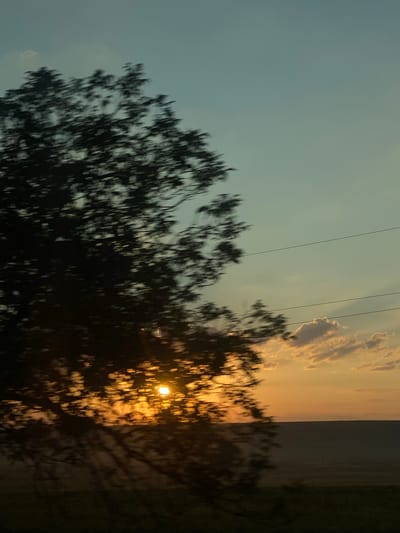 The image depicts a blurry, motion-effected scene of a sunset in Balabanu, Moldova. A silhouetted tree with dense foliage occupies the left side of the frame, partially obscuring the setting sun, which emits a bright, warm orange glow. The sky transitions from a pale blue at the top to hues of orange and yellow near the horizon. A few wispy clouds are visible, tinged with the sunset's colors. Horizontal power lines stretch across the upper right portion of the image. The landscape below the horizon appears as a dark, indistinct mass. No people or specific objects are clearly identifiable due to the blur.
