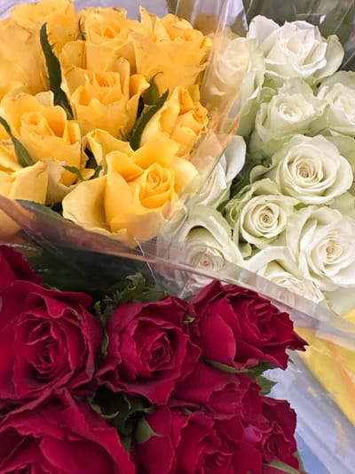 A close-up shot showcases three bouquets of roses, arranged in a way that creates a vibrant display of color. The bouquet on the left is filled with yellow roses, their petals a bright, cheerful hue. To the right of the yellow roses are white roses, their petals a softer, creamy color, and further to the right, a bouquet of deep red roses. The flowers are tightly packed together, suggesting they are freshly cut and perhaps prepared for an event or sale. The lighting is bright, highlighting the rich colors and delicate textures of the rose petals. The background is a soft blur, with hints of cellophane wrapping and a yellow and blue striped pattern that could be part of the packaging or a backdrop. The overall impression is one of natural beauty and a celebration of color. The context of "Moortown, Ireland" does not provide specific visual cues within the image itself. There is no visible text.