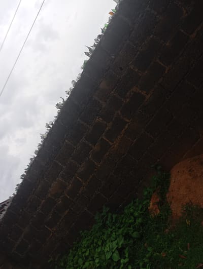 A brick wall, topped with broken glass bottles, runs diagonally across the frame. The wall is constructed of dark, rectangular bricks. The glass bottles, some clear and some green, are arranged with their broken edges facing upwards, creating a jagged, deterrent-like border. Below the wall, lush green vegetation thrives, with some patches of reddish-brown soil visible. The sky above is overcast and gray, with two thin, dark wires running horizontally across it. The scene appears to be an outdoor setting, likely in New Stadium, Nigeria, given the context. There are no people or discernible human activity in the image.
