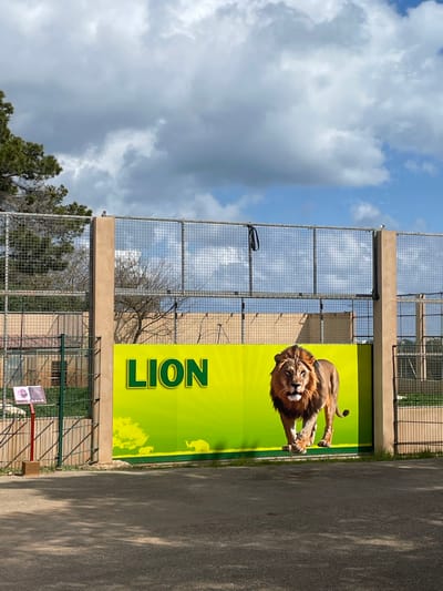 The image depicts an outdoor scene at an animal park or zoo in Sant Llorenç des Cardassar, Spain. The foreground features a dark gray paved asphalt surface with varied sunlit and shadowed areas. Dominating the mid-ground is a tall perimeter fence constructed from metal grid panels supported by thick, light brown rectangular posts. A dark strap or cable hangs from the upper section of the fence, centrally positioned.
Affixed to the lower half of the fence is a large, horizontal, bright lime-green banner. The banner displays the word "LION" in prominent dark green capital letters on its left side. To the right of the text, a realistic, full-body depiction of a male lion with a full mane is shown in a walking posture, facing slightly left with its gaze directed forward. The lower edge of the banner features darker green silhouetted images of an elephant, a smaller quadruped (possibly a rhinoceros or warthog), and a tree against a background with a sunburst pattern.
To the far left of the image, in front of the main fence, a reddish-brown post supports a partially visible white information sign. The background behind the fence and banner reveals additional layers of metal fencing, tan-colored structures or buildings, and various trees including a dense evergreen tree on the far left and deciduous trees with bare branches. The sky occupies the upper portion of the image, displaying a mix of blue sky and scattered white and gray cumulus clouds. No people are visible in the scene.
