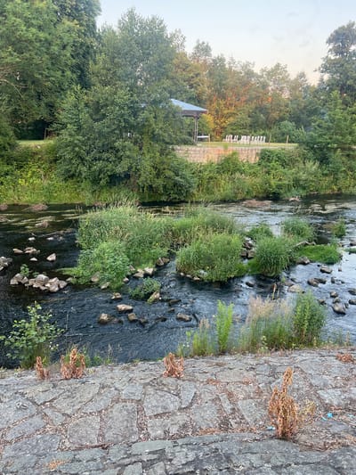 This is a vertical, eye-level, outdoor shot of a riverbank. The river flows from the top right to the bottom left of the frame. On the right side, there is a stone wall or path. On the left side, there is dense vegetation and trees. In the middle ground, there are some white chairs and a small structure with a roof. The sun is setting, casting a warm glow on the trees. The water is dark and reflects the sky and surrounding greenery. Several rocks are visible in the river. The scene appears to be a peaceful, natural setting, possibly a park or recreational area, located in Pilsen, Czechia. There is no visible text.