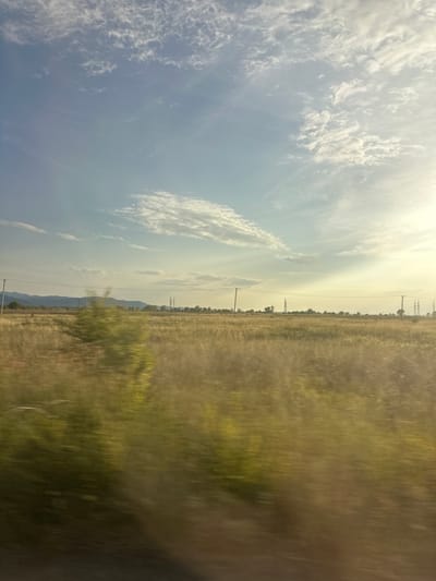 This is a photograph of a vast, open landscape taken from a moving vehicle, likely a train or car, given the motion blur. The image is oriented vertically, with the sky occupying the left two-thirds and the ground the right third.
The sky is a pale blue, filled with wispy, white clouds that are illuminated by the sun, suggesting it is either early morning or late afternoon. The sun itself is not directly visible but its bright light is casting a soft glow across the sky, creating a slightly hazy and serene atmosphere.
The ground consists of a dry, grassy field that stretches to the horizon. The grass is a muted yellow and green, reflecting the dry conditions. Scattered throughout the field are occasional trees, appearing as dark vertical smudges due to the motion blur. In the distance, a range of low hills can be seen, fading into a light haze. Power lines and their tall, lattice towers are visible in the middle ground, stretching across the field and indicating the presence of human infrastructure.
The overall impression is one of a quiet, rural journey through a dry, expansive landscape under a bright, cloudy sky. The motion blur contributes to a sense of movement and passage. There is no visible text in the image. The location context of Sayanogorsk, Russia, suggests a potentially remote or steppe-like environment, consistent with the visual elements.