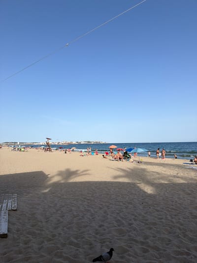 The image depicts a crowded beach scene on a sunny day, likely in Cambrils, Spain, given the architecture visible in the distance along the coastline. The foreground is dominated by sand, with shadows of palm trees cast across it. A pigeon stands on the sand in the lower right corner. In the mid-ground, numerous beachgoers are seen relaxing under umbrellas, sunbathing, and strolling along the shore. Some are seated in beach chairs, while others are standing or walking. The sea is visible in the background, with gentle waves and a clear blue sky above. A lifeguard tower is situated on the left side of the mid-ground, and a line of buildings lines the distant horizon. Several small boats can be seen on the water. A wire is stretched across the upper portion of the sky.