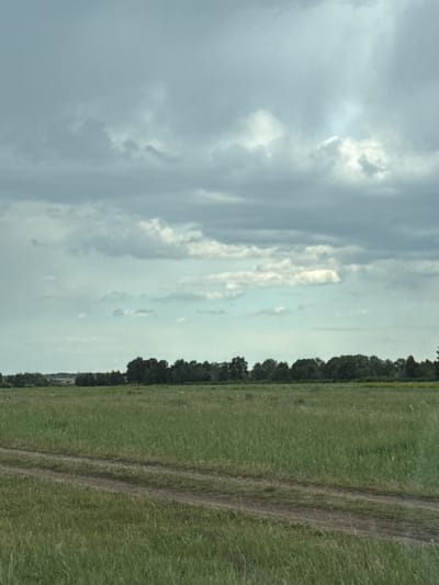 The image depicts a rural landscape in Айдарлы, Kazakhstan, under an overcast sky. A wide, unpaved dirt track with two distinct ruts extends from the lower left foreground into the midground of an expansive green field. The field is covered with tall, natural green grass, displaying variations in shade. A dense, dark green line of trees and foliage forms the horizon, separating the field from the sky. The sky above is largely covered by thick, grey and muted blue clouds, with some brighter, lighter grey patches visible, indicating diffuse lighting. No people, animals, or man-made structures, apart from the dirt path, are present in the scene.