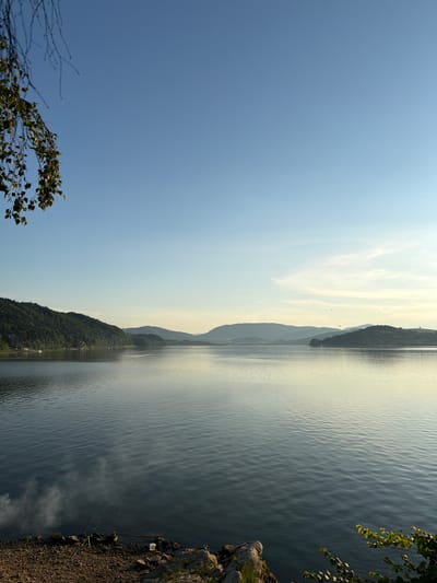 The image depicts a serene lakeside landscape in Lipie, Poland, under a clear, pale blue sky with a few wispy clouds near the horizon. The foreground features a rocky and gravelly shore with sparse vegetation, including some leafy branches hanging from the left and a small bush on the right. Two fishing rods are propped up on the shore, suggesting someone was fishing. A white bucket sits near the fishing rods. Wisps of steam or mist rise from the water's edge in the lower left portion of the image.
The lake itself occupies the majority of the frame, its surface reflecting the soft light of what appears to be either early morning or late afternoon. Gentle ripples create a textured pattern on the water. In the mid-ground and background, rolling hills covered in dense green forest rise from the far side of the lake. Further in the distance, more layered, hazy hills stretch towards the horizon. The overall atmosphere is peaceful and natural.