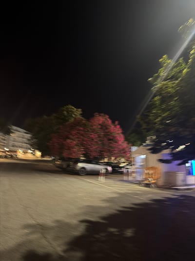 The image depicts a street scene at night in Cascais, Portugal. The foreground is a paved area, likely a parking lot or street, with shadows of trees cast across it, suggesting movement or wind. In the midground, a silver car is parked. Behind the car, there are trees with vibrant pink blossoms, and other trees with green foliage. To the left, a building with illuminated windows is visible. The lighting is artificial, with streaks of light indicating movement or possibly streetlights. The overall impression is one of a slightly blurred, nocturnal urban environment.