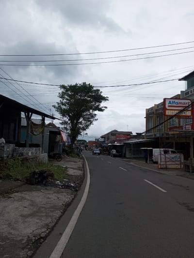 This image captures a street scene in Melakudikadu, India, under an overcast sky. The asphalt road, marked with a solid white line on its left edge and a dashed white center line further down, curves gently to the right as it recedes into the distance. A cracked concrete sidewalk with patches of grass and debris borders the left side of the road. Multiple black power lines crisscross the upper portion of the frame against a uniform gray, cloudy sky.
On the left, a series of low-rise structures with visible wooden supports and corrugated metal roofs line the sidewalk. A dark-colored motorcycle is parked near one of these buildings. A prominent tree with dense green foliage stands midway down the left side, partially obscuring the background.
On the right side of the street, multi-story commercial buildings are visible. A prominent "Alfamart" convenience store sign, red and white, is clearly visible on a building. Below the sign, a temporary structure resembling scaffolding or a frame is erected on the sidewalk. A white van and other dark vehicles are parked along the right side of the road. Several indistinct human figures are visible near the parked vehicles and further down the street on the right. Additional cars and motorcycles are present on the road in the mid-distance, traveling in the direction away from the viewer.