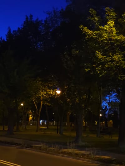 The image depicts a park at dusk or night, likely in Stryków, Poland, given the context. The sky is a deep, dark blue, transitioning to black at the top. Silhouetted trees with dark foliage dominate the scene, with some leaves on the right side illuminated by artificial light, appearing yellow-green. Several park lamps with warm, yellowish light are visible, casting illumination on the pathway and surrounding grass. In the background, there are glimpses of park benches and potentially the facade of a building, also dimly lit. The foreground shows a paved road with white lines. The overall atmosphere is serene and dimly lit, characteristic of a public park after sunset.