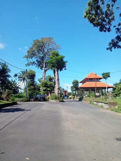 The image shows a paved road in front of a structure with an orange tiled roof in Blahbatuh, Indonesia. The structure appears to be a pavilion or a temple, with visible pillars and decorative statues. The road is lined with lush green vegetation, including palm trees and large trees with thick trunks. A black SUV is parked on the side of the road. The sky is clear blue with a few scattered white clouds. The overall scene depicts a serene and tropical environment.