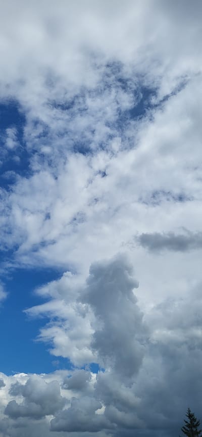 A vertical, full-frame, low-angle outdoor shot shows a cloudy sky over Bulgakovo, Russia. The sky is a mix of white and gray clouds, with patches of blue sky visible between them. In the lower right corner, a portion of a dark green evergreen tree is visible against the clouds. The clouds are varied in texture and density, ranging from wispy cirrus to thick, cumulus formations. One large, dark gray cloud in the lower center of the frame appears to be shaped vaguely like a figure. The lighting suggests it is daytime, with the sun likely obscured by the clouds. No people or specific structures are visible in this image, only the sky and a partial tree.
