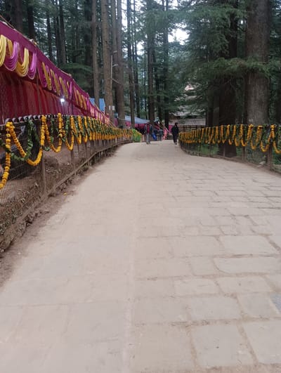 This is a ground-level, eye-level, vertical, outdoor, medium-shot photograph of a pathway in Manali, India. The pathway is lined on the left with a fence adorned with yellow flower garlands. Beyond the fence, a large tent with pink and yellow drapery is visible. Numerous tall evergreen trees, characteristic of the Himalayan region, form a dense forest on the right side of the pathway and in the background. The pathway itself is paved with light-colored stone slabs. Several people are walking on the pathway in the distance, some heading towards the viewer, others away. The overall scene depicts a serene, forested environment, possibly a tourist area or a religious site decorated for an event.