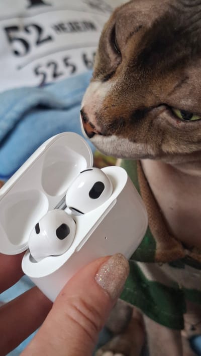 The image shows a close-up of a Sphynx cat's head and a white charging case with two white earbuds, likely AirPods, inside. The cat's fur is brown and wrinkled, with its green eye looking towards the earbuds. A hand with a sparkly nail is holding the charging case. In the background, there is a blue cloth with some blurry black and white text visible, reading "52 525". The scene appears to be indoors, with the lighting suggesting it could be daytime. The overall mood is casual and domestic, possibly depicting a moment of interaction between the cat and the earbuds. The location context is provided as Забалоцкі сельскі Савет, Belarus.