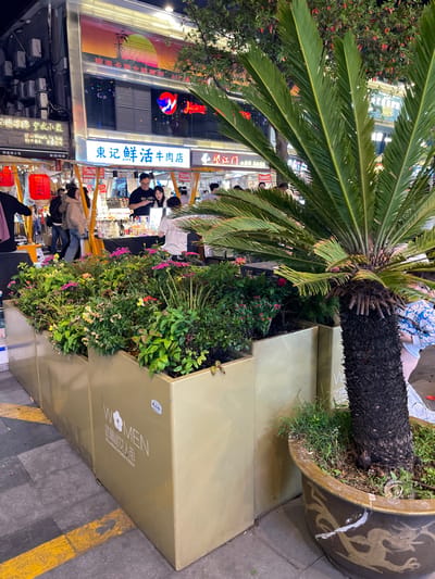 The image shows a street scene in Hangzhou Shi, China, with the location being at the intersection of a busy commercial area. The foreground displays three large, gold-colored, rectangular planters filled with a variety of flowering plants and greenery, including small flowering plants, ferns, and shrubs. The largest planter is at the bottom of the image with “Women” written in black, along with what appears to be a store name, written in Chinese.
A large palm tree stands in the foreground, with its trunk extending out of a large pot adorned with a dragon motif. The trunk of the palm is thick and textured, and the tree's green leaves are large and fan-shaped, framing the view of the street scene. The street is mostly obscured by the foliage of the palm tree. The image captures a view of an urban setting with a focus on the greenery and the contrast of the golden planters against the green foliage.