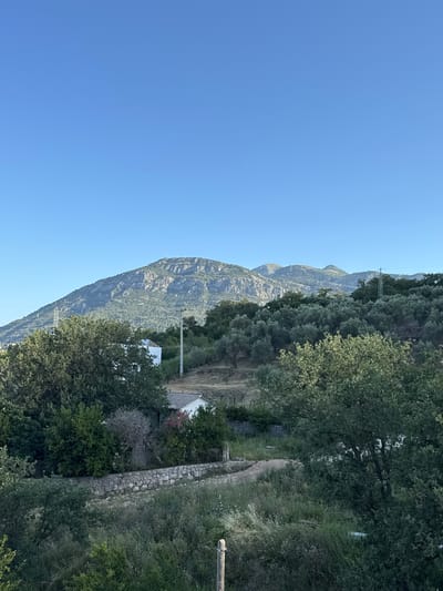 This is a landscape photograph taken in Sustaš, Montenegro, featuring a clear blue sky above a series of rolling hills and mountains. In the foreground, there is dense green vegetation, including trees and shrubs, with a stone wall running through it. A white building with a tiled roof is partially visible amidst the foliage. A dirt path winds through the grassy area. Further back, more trees, likely olive trees, cover the hillsides. In the distance, a large, rugged mountain range dominates the horizon. Power lines and utility poles are also present, indicating some human infrastructure in the natural landscape. The scene appears to be set in the early morning or late afternoon, given the soft lighting and clear sky.