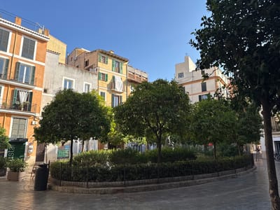 The image shows a sunlit plaza in Palma de Mallorca, Spain, with colorful buildings and trees. In the foreground, a paved area with brickwork leads to a circular garden enclosed by a low metal fence. Several trees with dense green foliage are planted within the garden, and a sculpture is partially visible amongst the greenery. To the left, a dark green trash receptacle stands beside a building with an orange facade. The buildings surrounding the plaza exhibit a mix of architectural styles, with balconies, shuttered windows, and varying colored stucco finishes, predominantly orange, yellow, and beige. The sky is a clear, vibrant blue. In the background, pedestrian walkways and storefronts are visible, with a few people walking and parked bicycles adding to the urban scene.