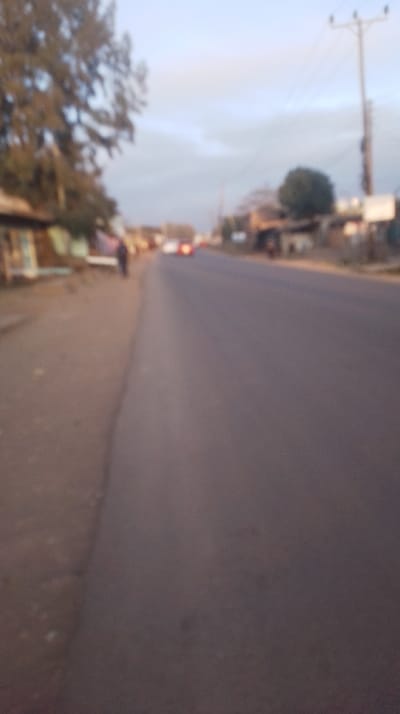A blurred image shows a street scene, likely at dawn or dusk. A wide road dominates the view, with a sidewalk on the left and buildings partially visible on either side. Trees line the left side of the road, adding a touch of greenery. Power lines stretch across the sky on the right. A few vehicles with illuminated tail lights are visible in the distance on the road. A figure is walking on the sidewalk on the left.