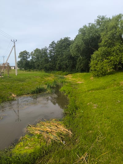 This media file captures a natural scene with a small stream flowing through a grassy embankment. The stream itself appears murky, with visible reeds and aquatic vegetation along its edges and floating on the surface. Dry reeds are piled up on one side of the stream, suggesting they may have been recently gathered or washed ashore.
The surrounding landscape is dominated by lush green grass that covers the rolling hills and banks of the stream. In the background, a dense line of trees forms a dark green wall, with some larger trees standing out due to their fuller foliage. The sky above is overcast, indicating a cloudy or possibly impending rainy day.
To the left of the scene, a utility pole with power lines stretches upwards, and a simple white building is visible in the distance. A wooden bench is also present near the utility pole, suggesting a small recreational area or a resting spot. The overall atmosphere is tranquil and serene, evoking a sense of rural quietude.
The time of day is indeterminate due to the overcast sky, but it appears to be daytime. The location is identified as Laskino, Russia. There is no visible text in the image. The scene depicts a natural, undeveloped landscape with minimal human intervention, focusing on the interplay of water, vegetation, and sky.