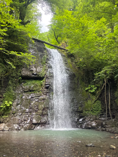 The image depicts a waterfall in a lush, forested environment. The waterfall cascades down a rocky cliff face, with water spraying and creating a pool at the base. The surrounding trees are vibrant green, with dense foliage and moss growing on the rocks. A fallen log spans across the top of the waterfall. The scene is serene and natural, suggesting a remote, outdoor location. This waterfall is identified as the "Goryachiy Klyuch Waterfall" in Plastunka, Russia.