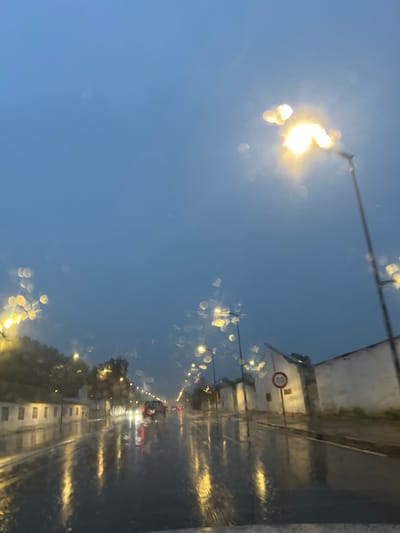 A street scene is viewed from a low angle on a rainy day. Streetlights illuminate the scene and reflect on the wet pavement. Buildings line the right side of the road, with a speed limit sign visible. Traffic is present in the distance. The sky is a muted blue, suggesting twilight or dawn. The rain distorts the view, creating a blurred effect and prominent bokeh around the light sources.