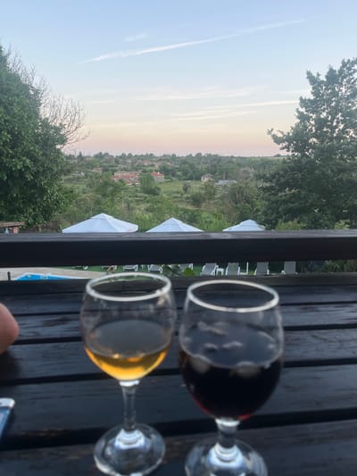 A still life photograph captures two wine glasses on a dark wooden table, set against a backdrop of a sprawling village and a twilight sky. The glass on the left contains a pale yellow liquid, possibly white wine or brandy, while the glass on the right holds a dark red liquid with ice, suggesting red wine or a mixed drink. The glasses are positioned in the foreground, slightly out of focus.

Beyond the table, a dark railing separates the viewer from the scene below. Beneath the railing, a swimming pool with blue water is visible, along with several lounge chairs, suggesting a resort or a leisure area. Two white hexagonal umbrellas are also present in this middle ground.

The background depicts a village with red-tiled roofs nestled among rolling green hills. Trees, both leafy and bare branches, frame the village and the sky. The sky is a gradient of pale blue at the top, transitioning to a soft pink and orange hue near the horizon, indicating either sunrise or sunset. The overall atmosphere is serene and tranquil. The image was taken in the vicinity of General Kiselovo, Bulgaria, likely from a vantage point overlooking the village.
