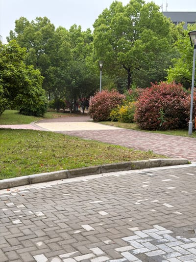 The image depicts a park scene in Jiangning District, China. Two paved pathways run parallel. The right-hand pathway is constructed of grey and white rectangular pavers arranged in a herringbone pattern. The left-hand pathway is narrower, constructed of red, brown and yellow pavers. Between the paths is a strip of green grass. To the left of the pathways is dense foliage including deciduous trees and shrubs, some displaying red foliage. Lampposts are visible among the trees. Buildings are visible in the background. The sky is overcast. The image appears to be taken at ground level.