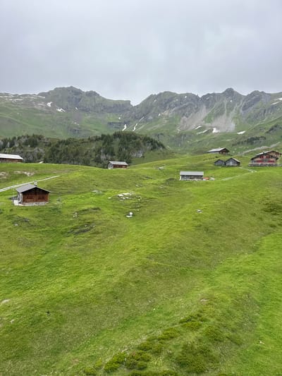 This is an eye-level, medium-wide shot of a mountainous landscape in Hasliberg Reuti, Switzerland, on a cloudy day. The foreground is dominated by rolling green hills covered in lush grass. Several small wooden chalets are scattered across the hillsides, appearing as tiny structures against the vastness of nature. A dirt path winds through the grass, connecting some of the chalets. In the mid-ground, a dense forest of evergreen trees blankets a steeper slope. The background features imposing, rugged mountains with patches of snow clinging to their peaks, hinting at higher altitudes. The overall scene evokes a sense of remote, alpine tranquility.