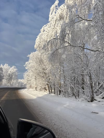 A winter scene is depicted along a road in the city of Chaika, Russia, under clear blue skies with scattered high clouds. The image is captured from inside a vehicle, with the upper portion of a dark-colored side mirror visible in the lower right quadrant, reflecting a snowy ground. An asphalt road, partially cleared of snow, occupies the lower left and central-left, exhibiting dark tire tracks and some patches of snow/ice. The road curves gently to the left and recedes into the distance. Both sides of the road are bordered by dense lines of deciduous trees, heavily encrusted with thick white snow and hoarfrost. A prominent, large tree with long, drooping, snow-laden branches stands in the mid-ground on the right, bathed in bright sunlight that creates strong highlights on the snow. The ground alongside the road is covered in undisturbed white snow. No people or animals are visible, and no explicit actions or interactions are depicted beyond the implied movement of the vehicle from which the photograph was taken.