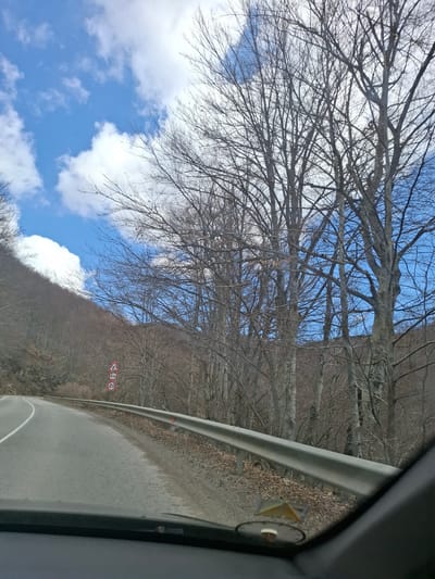 The image shows a road scene in Gintsi, Bulgaria, taken from inside a vehicle. The road curves to the right, guarded by a metal barrier. Road signs indicating a curve and a speed limit of 40 km/h are visible. A hillside covered in leafless trees rises alongside the road. Bare tree branches fill the upper portion of the frame, contrasting with a blue sky and white clouds. A portion of the car's interior, including the doorframe and a safety reflector, is visible in the foreground.
