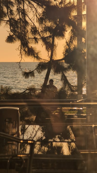 The image, originally oriented sideways, captures a serene coastal scene at sunset or sunrise, viewed through a reflective glass or window. Silhouetted pine tree branches with distinct needles dominate the foreground and left side, extending across the frame.

Through the branches, a bright, golden-orange sky transitions to a shimmering body of water, likely the Black Sea given the location context of Kobuleti, Georgia. The low sun creates strong reflections and sparkling light on the water's surface, indicating calm conditions.

In the mid-ground, partially obscured by the tree and reflections, a person is visible. They appear to be a male figure, wearing a cap and a t-shirt with the visible text "AIRI". The person is standing near the water's edge or on an elevated platform overlooking the sea.

The reflective surface through which the photo is taken adds layers to the image, showing faint, blurry reflections of what might be an indoor environment or another set of trees on the right side, creating a sense of depth and observation from within. The overall impression is one of peaceful observation of a beautiful natural light display.