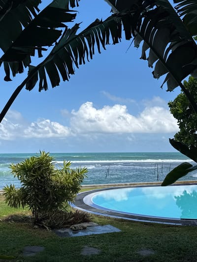 This is a medium shot, landscape-oriented photograph taken from a slightly elevated perspective. The scene is a tropical outdoor setting with a view of the ocean and a swimming pool. In the foreground, large, dark green, frond-like leaves frame the left side of the image, creating a natural vignette. Beyond these leaves, a bright blue sky with scattered white clouds dominates the upper left portion of the frame.
To the right of the sky, the ocean is visible, appearing as a textured expanse of blue-green water with whitecaps, suggesting a somewhat rough sea. Several thin, dark vertical posts are sporadically placed in the water. Adjacent to the ocean is a curved swimming pool with bright turquoise water. The pool has a dark coping and a decorative border with curved bands of black, blue, and white.
The right side of the image features a patch of vibrant green grass, with some stone pathway elements visible within it. A lush, bushy plant with variegated green and yellow leaves grows on the edge of the grass, near the swimming pool. The overall impression is a serene and inviting tropical resort or private residence. The time of day appears to be daytime, likely late morning or early afternoon, given the brightness of the sun and the clarity of the sky. The weather seems pleasant, with a mix of sun and clouds. There is no visible text in the image.