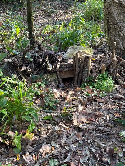 The image depicts a static outdoor scene in a woodland environment within the city of Mealhada, Portugal. The primary subject is a small, rudimentary, man-made structure located centrally, resembling a miniature shelter or dwelling. This structure is constructed from various natural materials, including horizontally stacked small logs and sticks forming walls, with multiple vertically oriented sticks acting as a front facade or fence, and a flat, light-colored stone resting on top. A rectangular opening, approximately 10-15 cm wide and 5-10 cm high, is visible at the base of the front facade, leading into the structure.
To the left of this miniature structure, partially obscured, is an insect hotel. This object appears to be a cylindrical container, possibly metal, approximately 20-30 cm in length, with multiple hollow reeds or bamboo tubes inserted, creating a habitat for insects. It is nestled amongst a pile of sticks and natural debris.
The ground across the entire visible area is heavily covered with a thick layer of dry, brown, fallen leaves, primarily consistent with oak leaves. Patches of vibrant green vegetation are interspersed throughout, including clumps of tall grass and smaller, darker green ground cover plants, some resembling clover.
Two tree trunks are visible: a slender, vertically oriented tree, partially covered in moss, is positioned on the left side of the frame. On the right side, a larger tree trunk with textured, furrowed bark, consistent with a cork oak, anchors the right edge of the scene. Sunlight filters through the overhead canopy, creating dappled lighting on the ground. No people or animals are visible, and no active interactions are depicted.