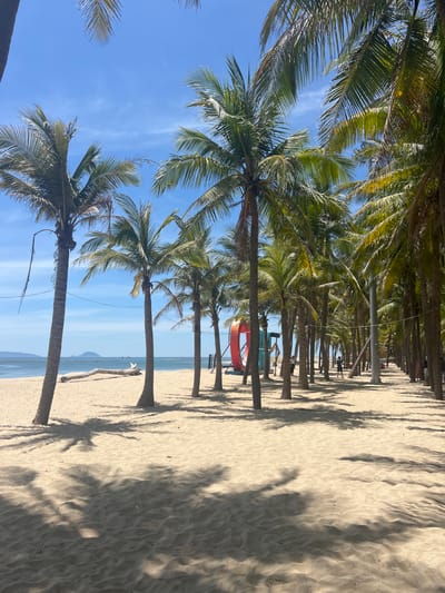 This media file depicts a sunny day on a sandy beach lined with palm trees. The scene is oriented vertically, giving the impression of looking up from the beach towards the palm fronds and the sky. A line of palm trees stretches into the distance along the sandy shore, with their trunks casting shadows on the sand. In the middle ground, a red ring-shaped object, possibly a flotation device or part of a playground, is visible. Further in the background, the calm blue sea meets the horizon, with a faint outline of land in the distance. The sky is clear and blue, with a few wispy clouds. The overall impression is one of a tropical, serene beach setting, likely during daylight hours with pleasant weather. The location context of Hoi An, Vietnam, suggests a popular tourist destination known for its beaches and palm-lined shores. No text is visible in the image.